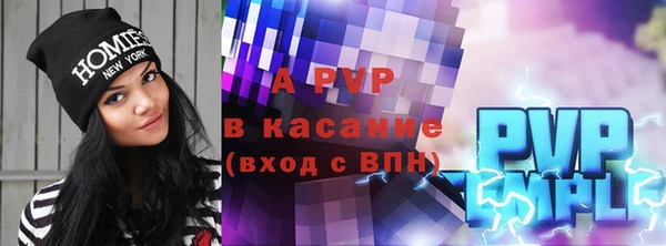 молекула духа Переславль-Залесский