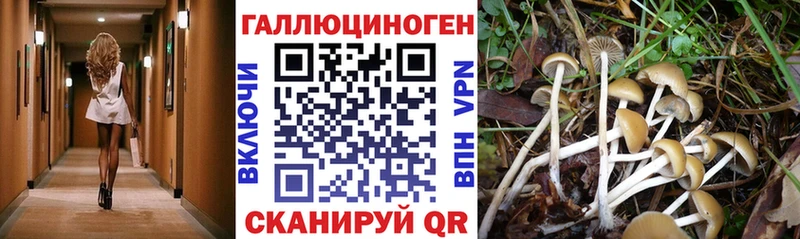 Галлюциногенные грибы мицелий  Мамадыш 